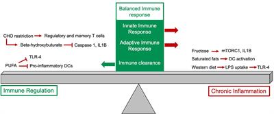 Balance immune system